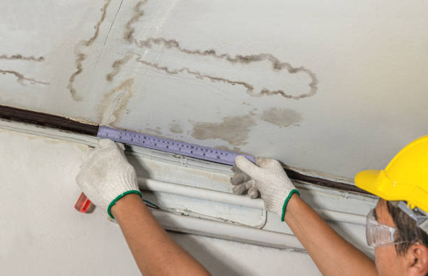 Reliable Water Damage Repair contractor in Oberlin, OH by Hirex Water Damage